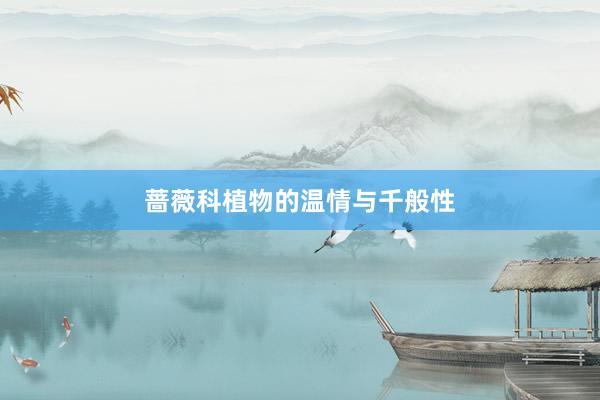 蔷薇科植物的温情与千般性