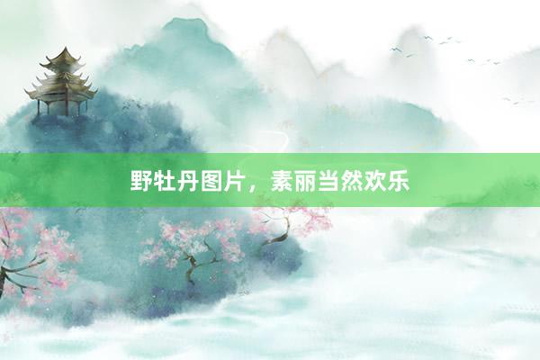 野牡丹图片，素丽当然欢乐
