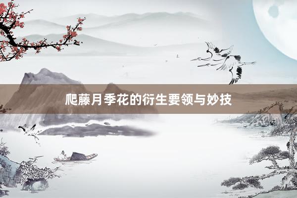 爬藤月季花的衍生要领与妙技